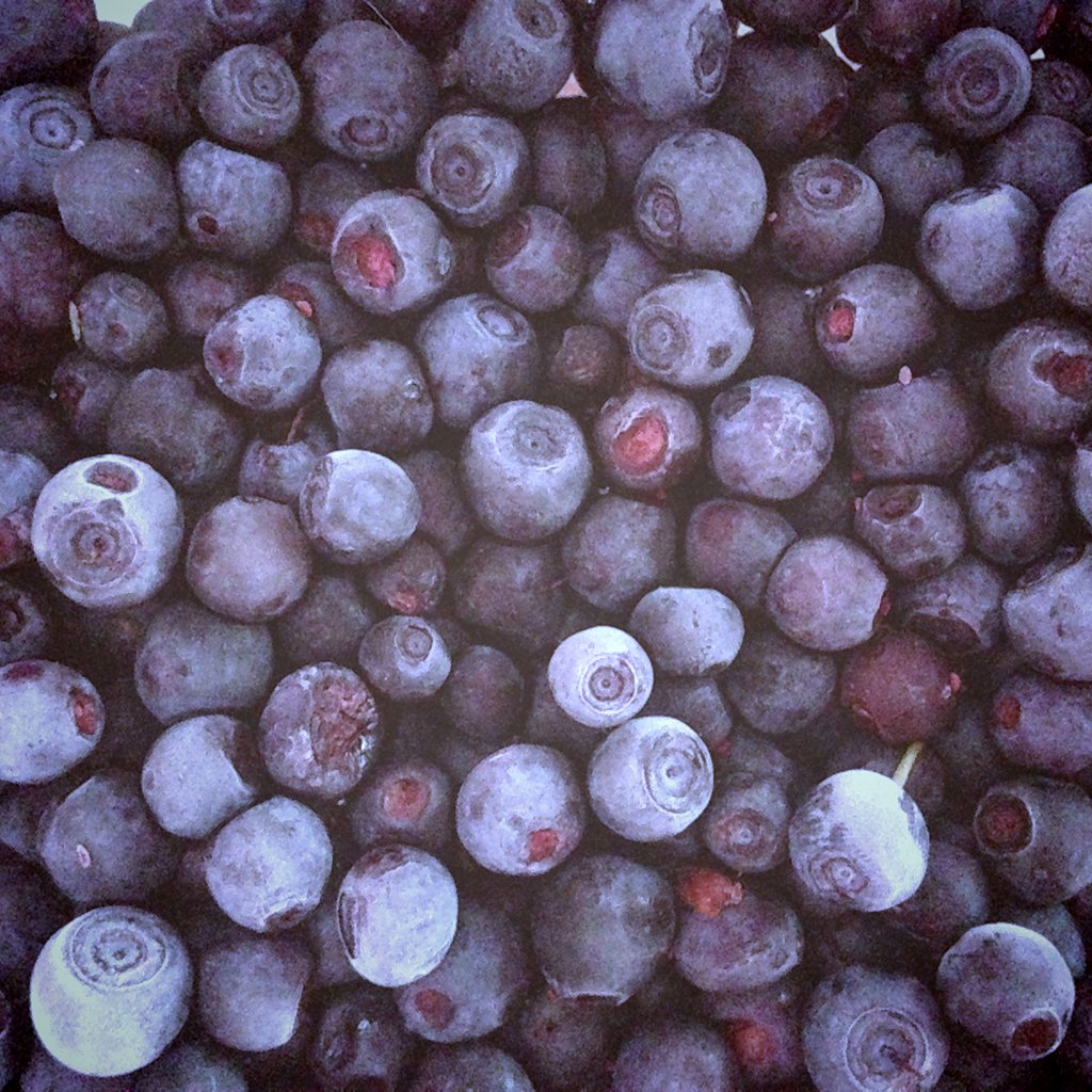 Fresh Picked Blueberry* FO 309